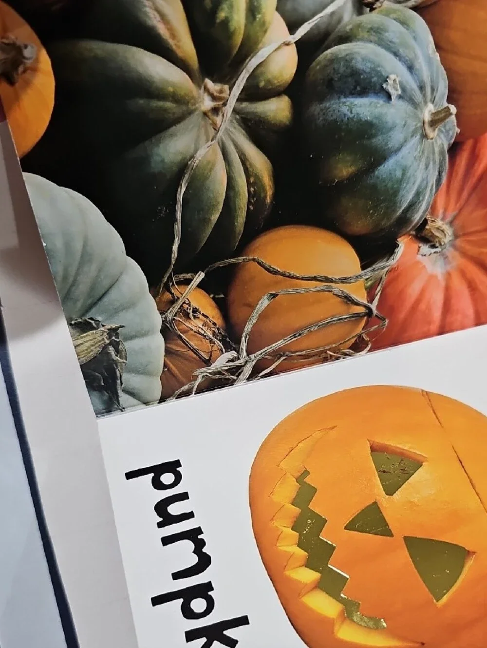 Touch and Feel Baby Fall Book
